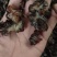 核桃菌…猴脑菌…玛卡菌