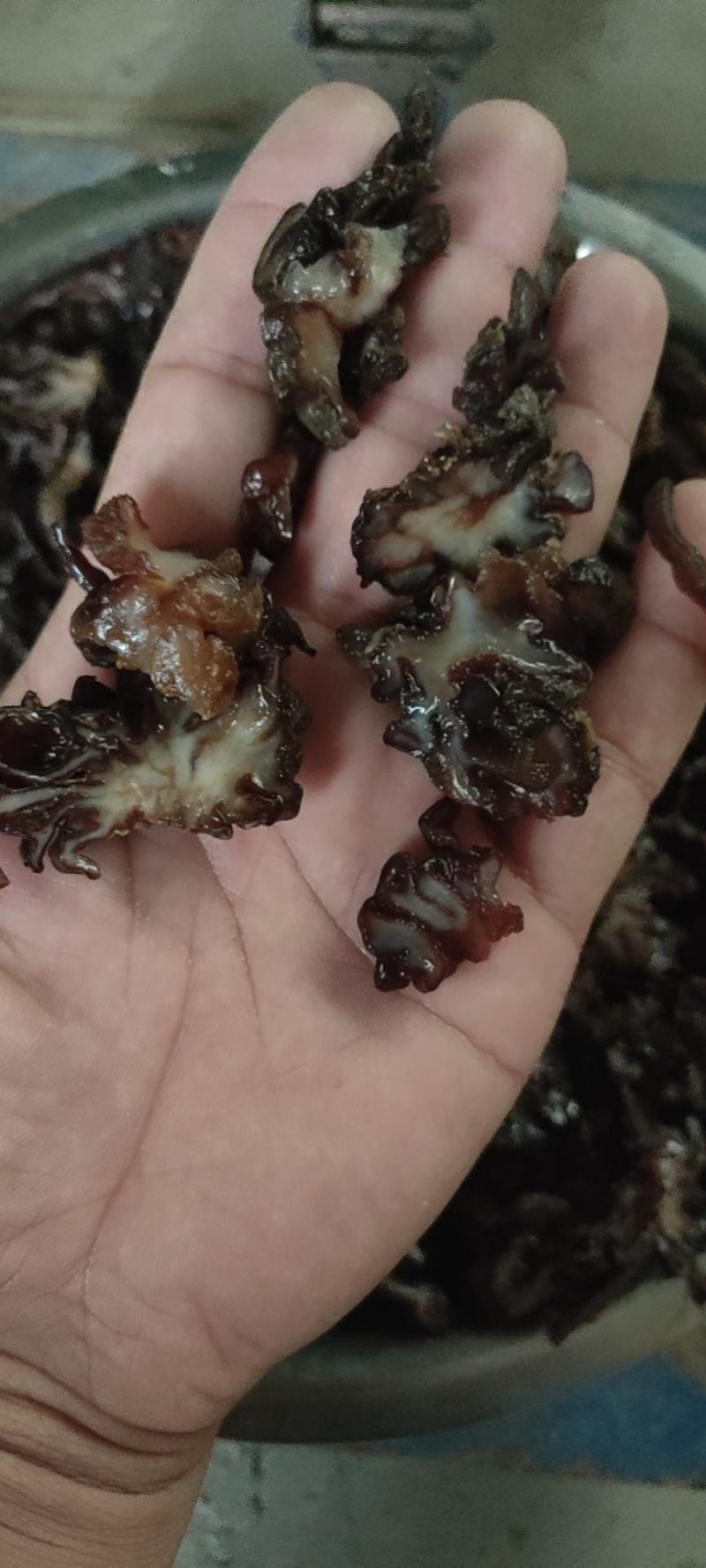 核桃菌…猴脑菌…玛卡菌