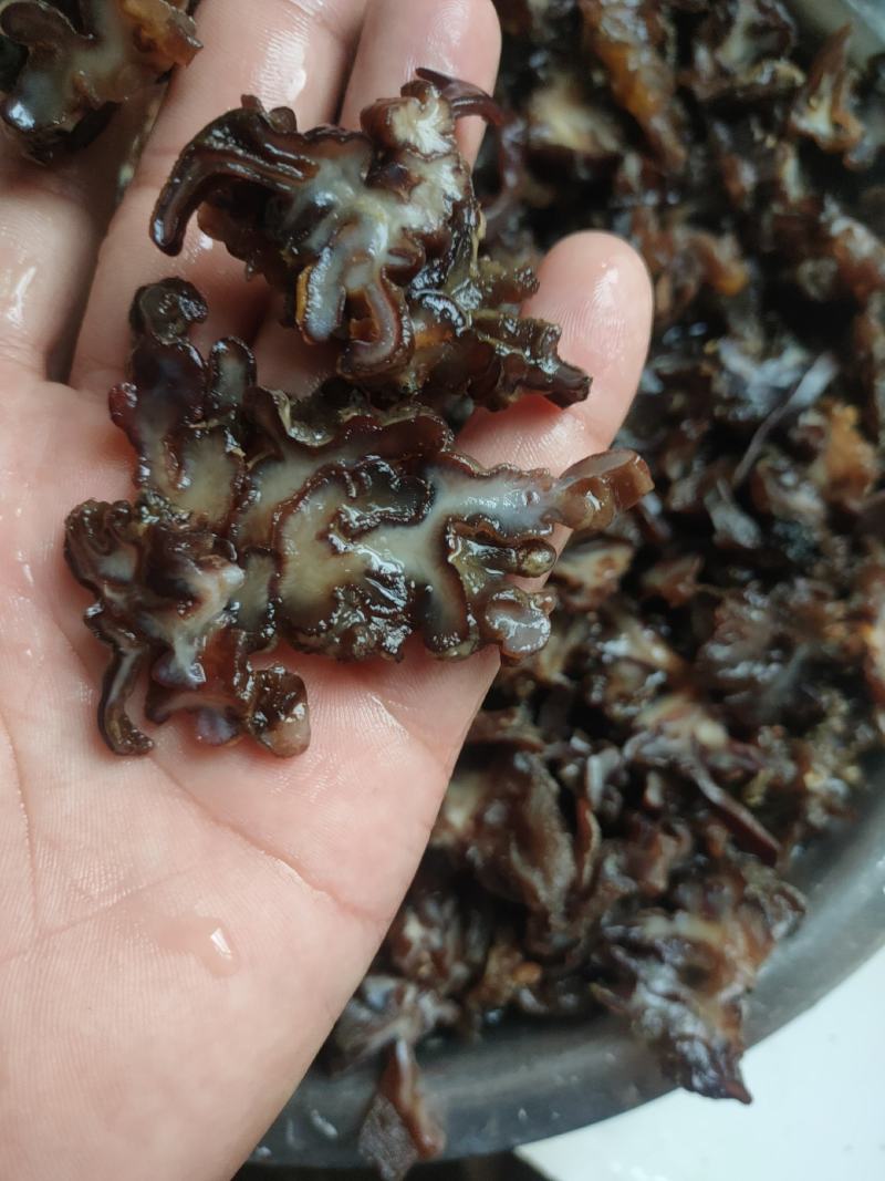 核桃菌…猴脑菌…玛卡菌