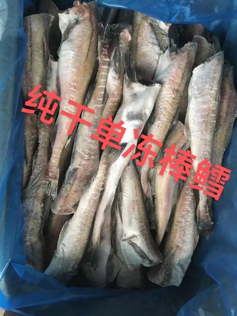 鳕鱼基地直供量大从优质量保证对接全国