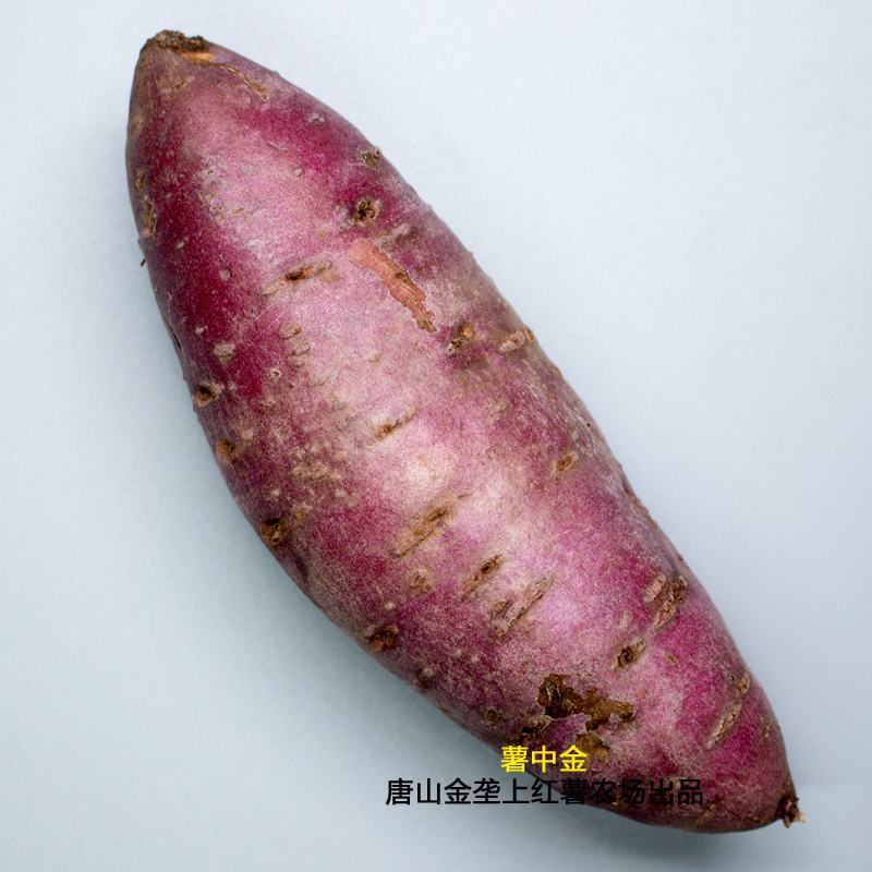 薯中哈根达斯，红瑶蜜薯