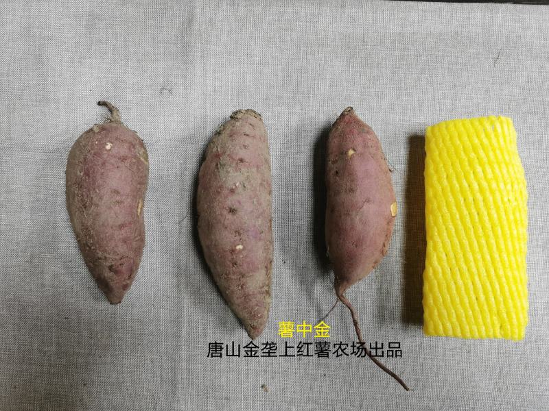 薯中哈根达斯，红瑶蜜薯
