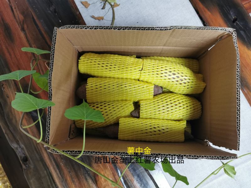 薯中哈根达斯，红瑶蜜薯