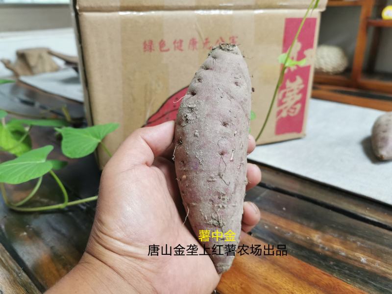 薯中哈根达斯，红瑶蜜薯