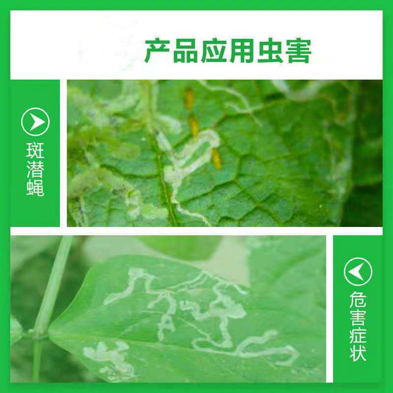 20%阿维·杀虫单美洲斑潜蝇蔬菜鬼画符斑潜蝇杀虫剂灭蝇胺