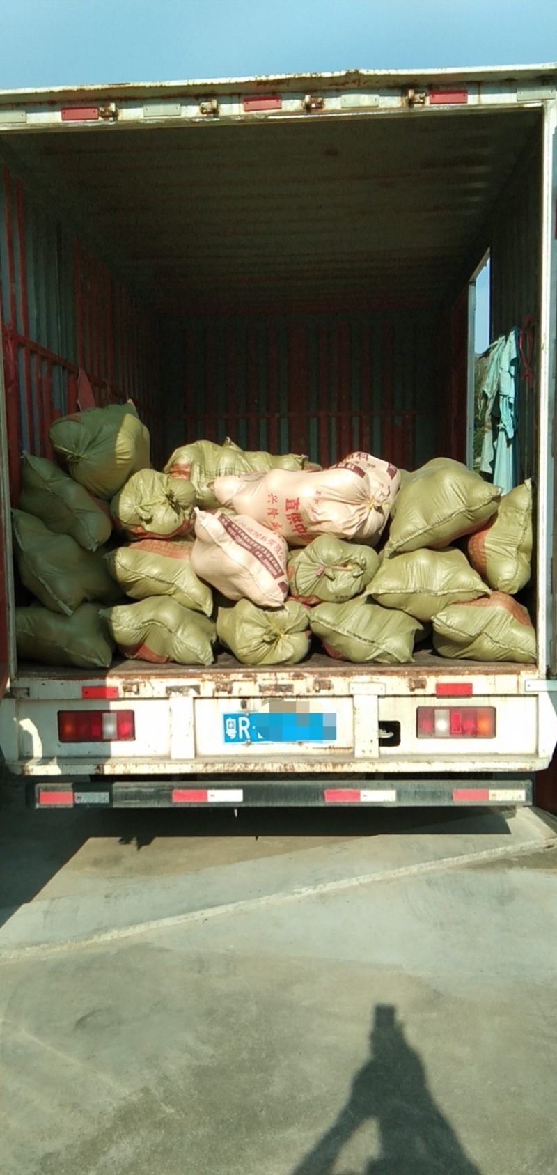 广东梅州产地直供红心三红白肉蜜50斤1/袋