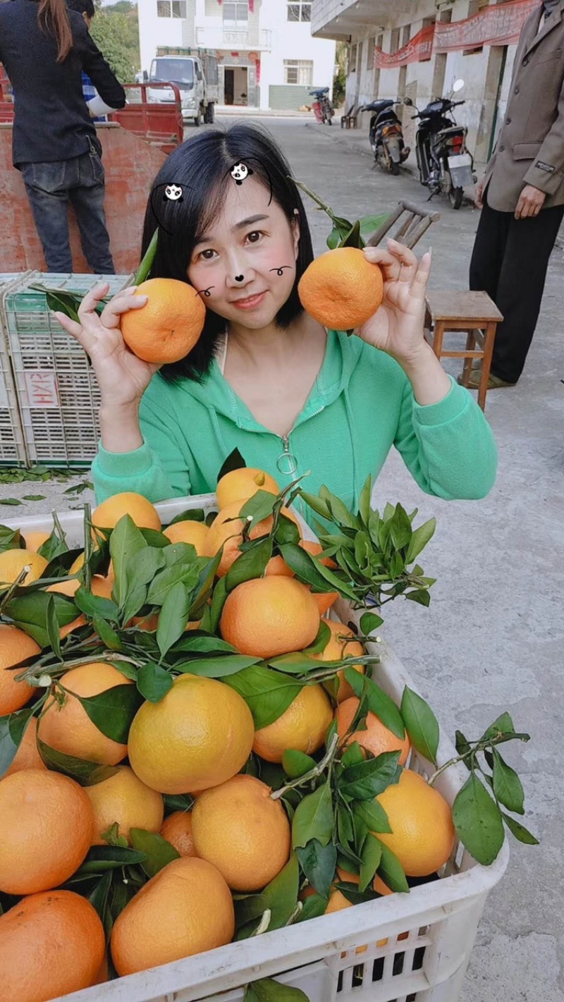 耙耙柑不知火多多买菜美团优选电商超市团购供货
