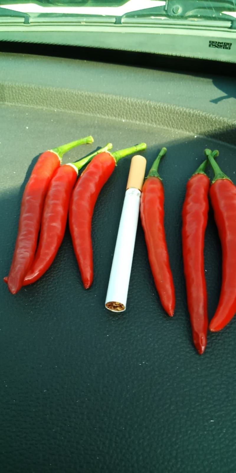 贵州艳椒量大有要的老板联系