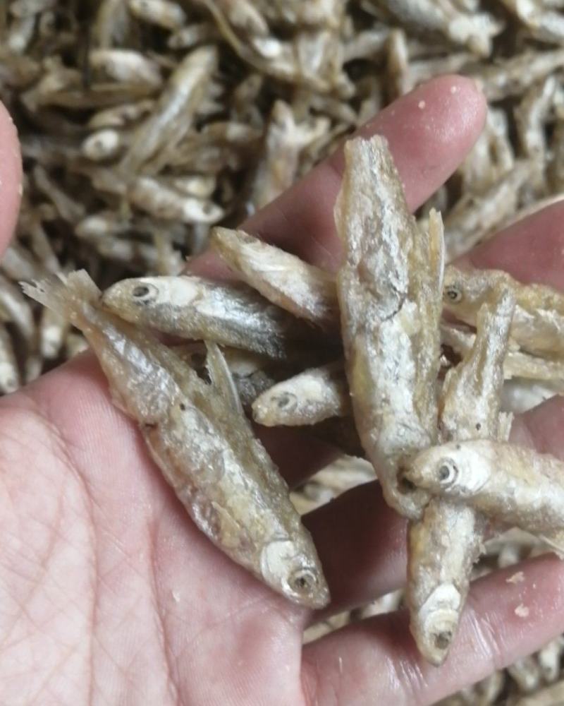 面粉鱼油炸小鱼干淡水鱼虾无盐小鱼干