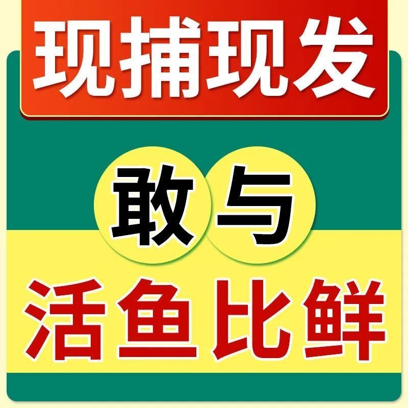 【今日特价】新鲜特大号金鲳鱼批发一箱肉鲳鱼平鱼白鲳鱼海鲜