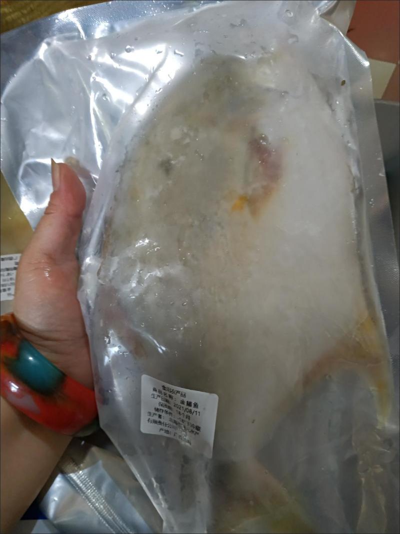 【今日特价】新鲜特大号金鲳鱼批发一箱肉鲳鱼平鱼白鲳鱼海鲜