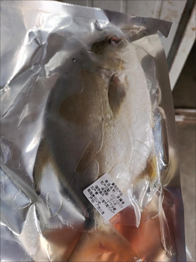 【今日特价】新鲜特大号金鲳鱼批发一箱肉鲳鱼平鱼白鲳鱼海鲜