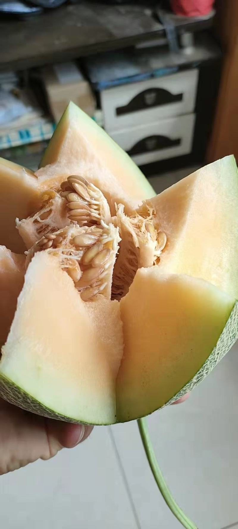 河北饶阳温室的冷棚的小蜜25口感甜度高，持续时间长！