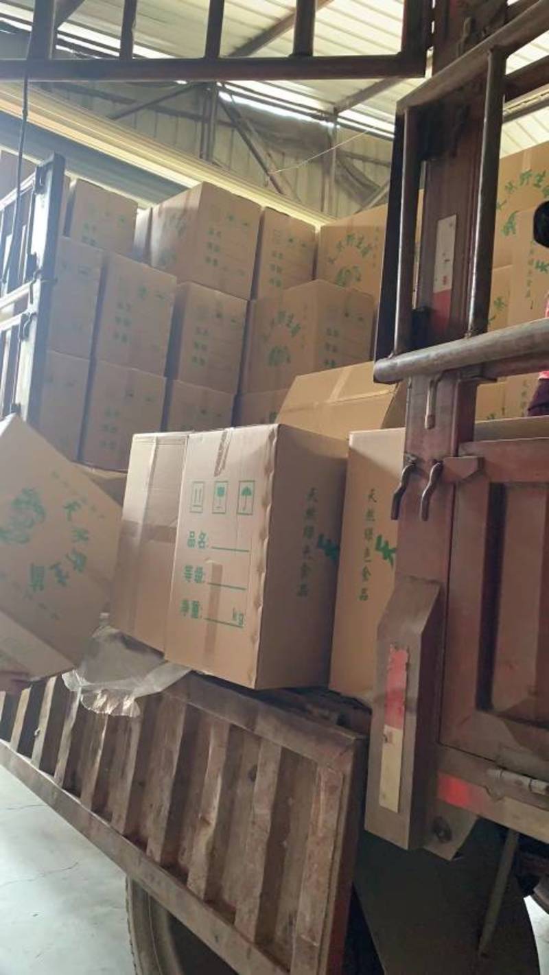 金针菇茶树菇干货一件40斤纸箱包装量大从优