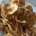 金针菇茶树菇干货一件40斤纸箱包装量大从优