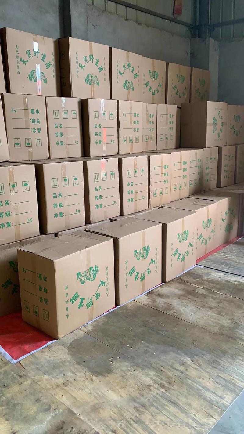 金针菇茶树菇干货一件40斤纸箱包装量大从优
