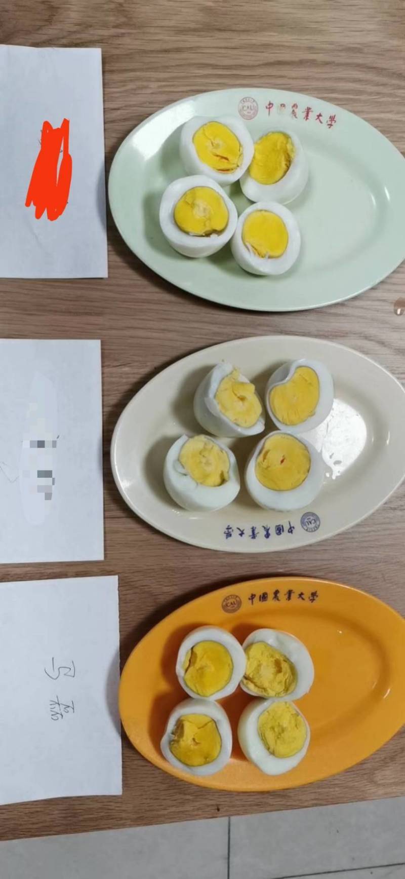 散养柴鸡，土鸡，跑地鸡，溜达鸡，正宗散养自然生长，无药残