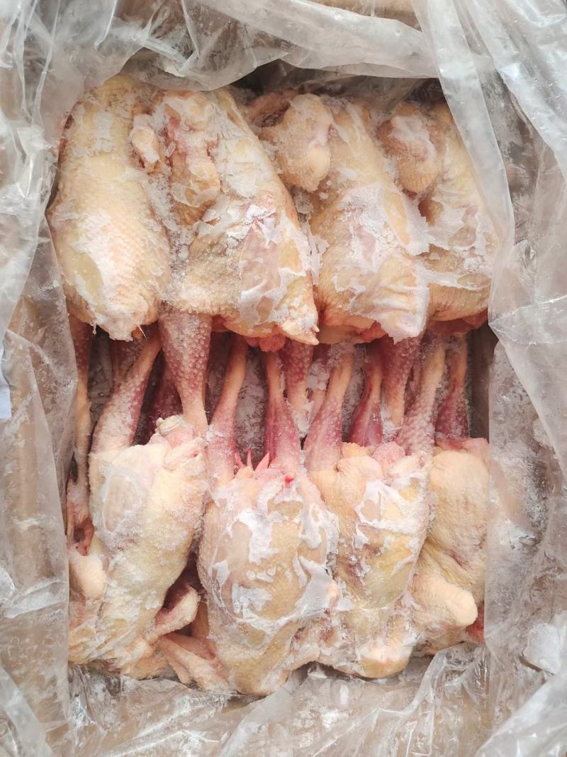 老母鸡，麻公鸡，乌鸡