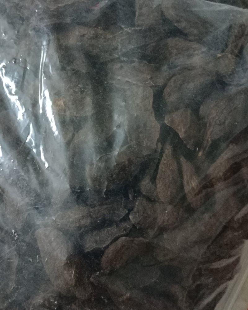 荷首乌（干片）自种，九蒸十晒