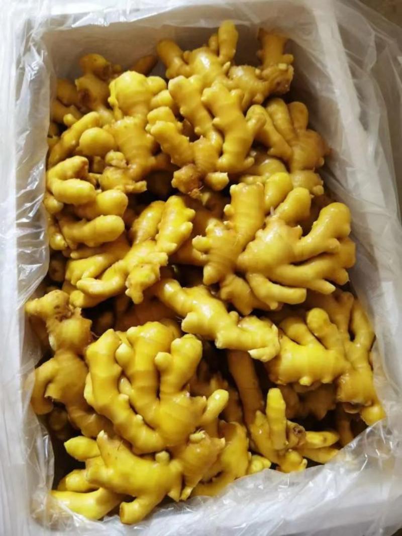 优质小黄姜，长期供应，全国发货，品质保证