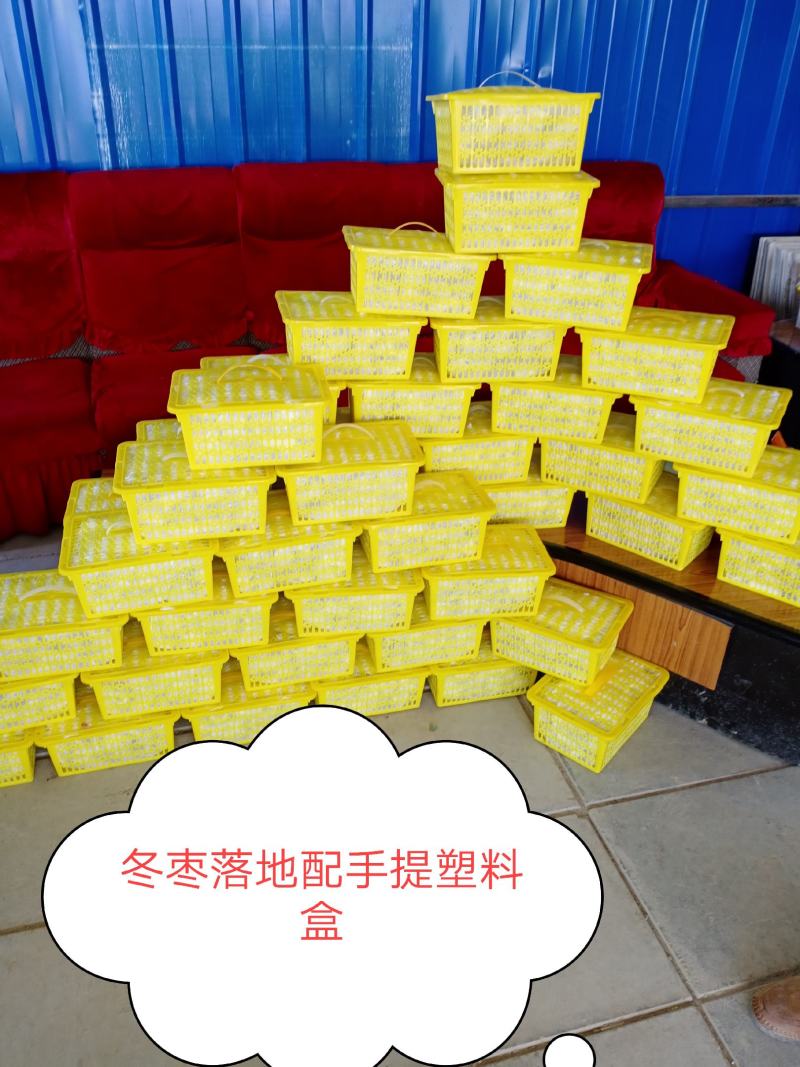 西域冰糖枣