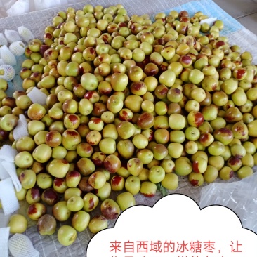 西域冰糖枣