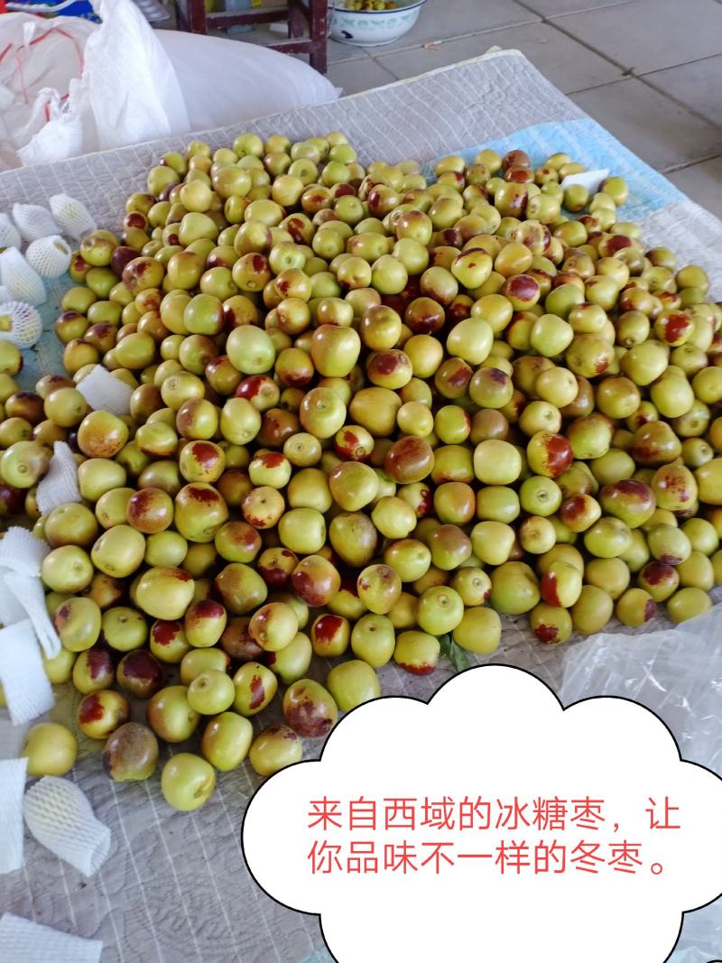 西域冰糖枣