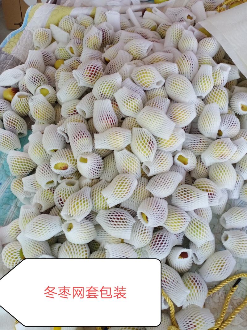 西域冰糖枣