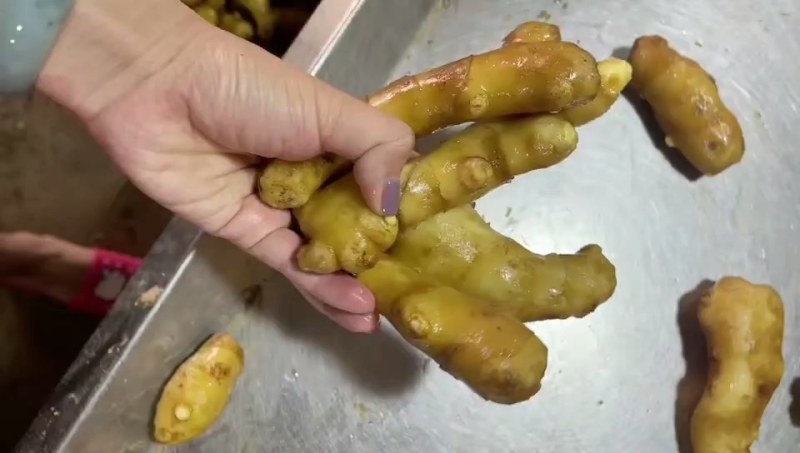 【推】山东优质生姜质量保证，货源充足，规格齐全，全国发货
