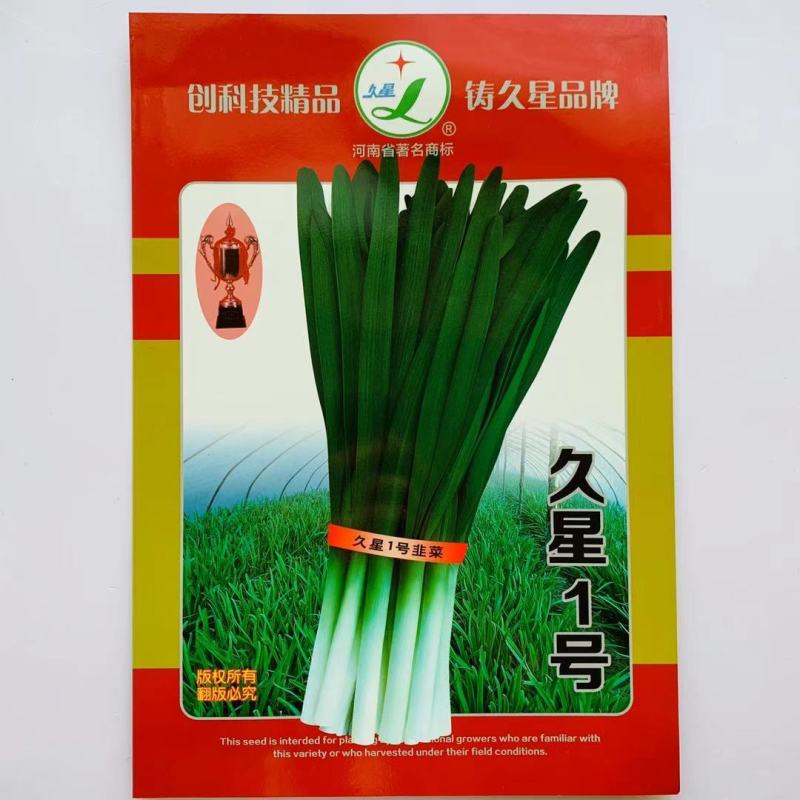 精选久星2号1号韭菜种子叶宽直立抗病，味香浓烈高产