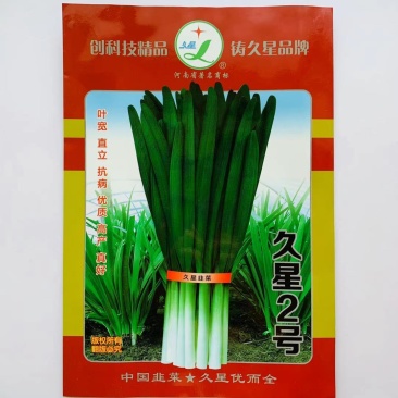 精选久星2号1号韭菜种子叶宽直立抗病，味香浓烈高产