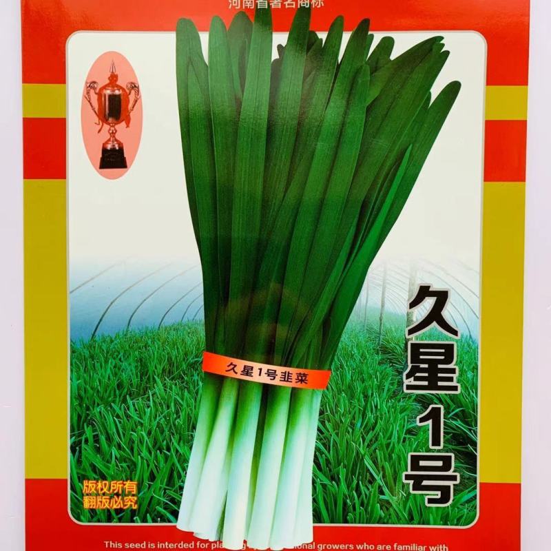 精选久星2号1号韭菜种子叶宽直立抗病，味香浓烈高产