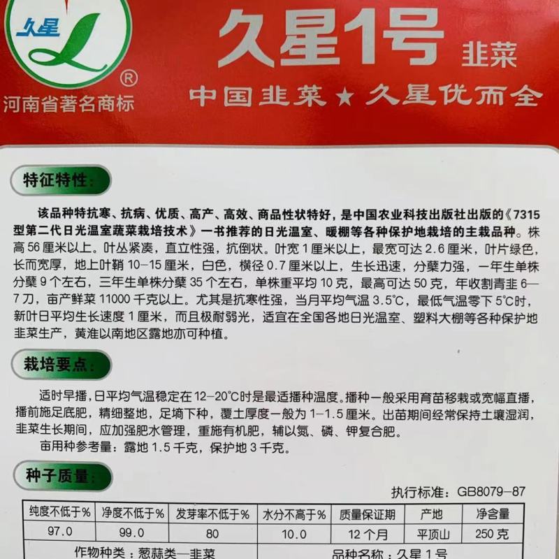 精选久星2号1号韭菜种子叶宽直立抗病，味香浓烈高产
