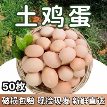 正宗土鸡蛋农家散养柴鸡蛋高品质五谷虫草蛋新鲜营养草鸡蛋批