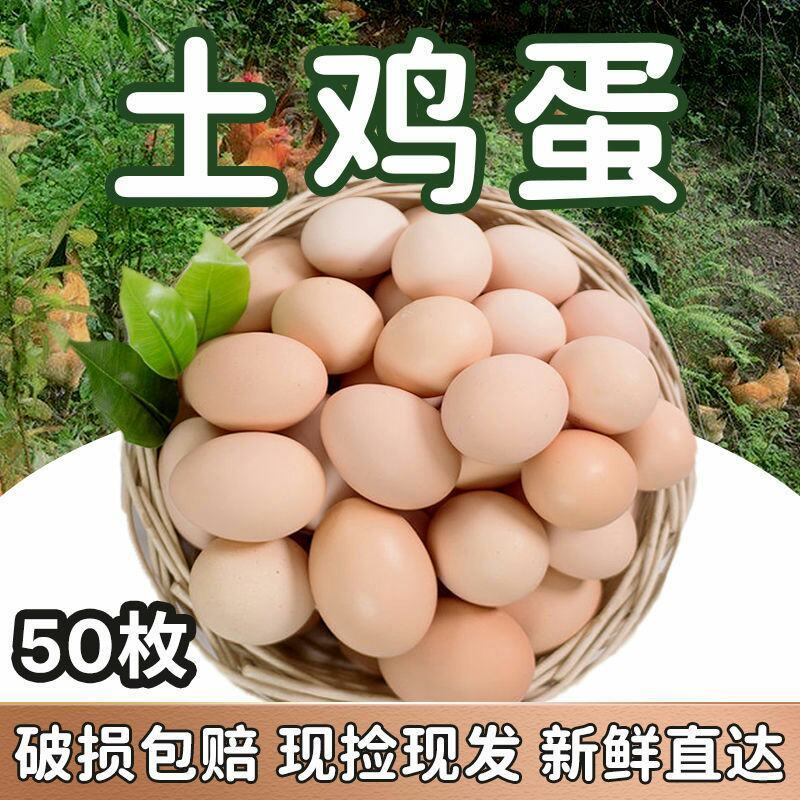 正宗土鸡蛋农家散养柴鸡蛋高品质五谷虫草蛋新鲜营养草鸡蛋批