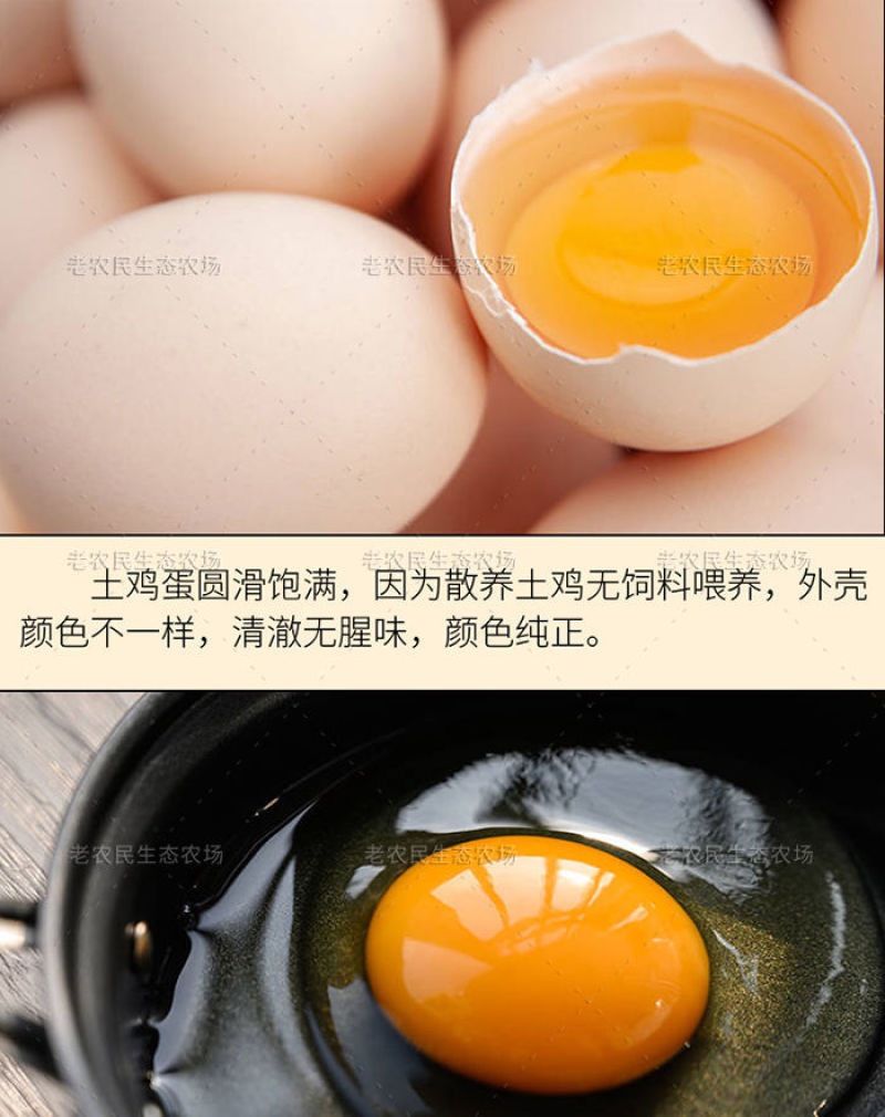 正宗土鸡蛋农家散养柴鸡蛋高品质五谷虫草蛋新鲜营养草鸡蛋批