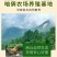 正宗土鸡蛋农家散养柴鸡蛋高品质五谷虫草蛋新鲜营养草鸡蛋批