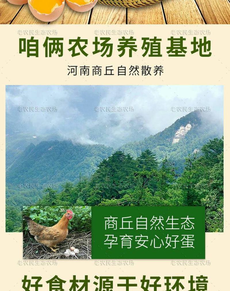 正宗土鸡蛋农家散养柴鸡蛋高品质五谷虫草蛋新鲜营养草鸡蛋批