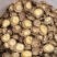 香菇干货500g古田农家肉厚无根干香菇新货蘑菇冬菇菌