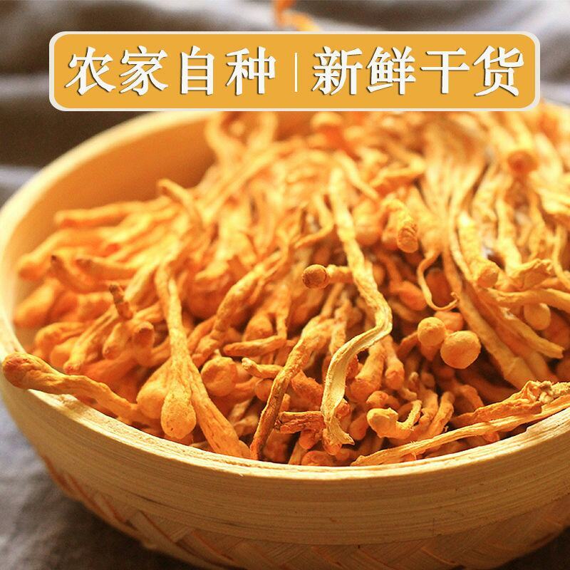 虫草花干货正品新货北蛹金虫草孢子头食用菌菇煲汤