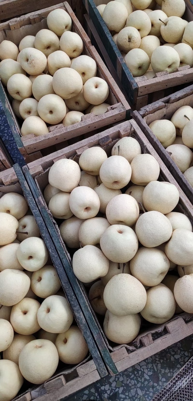 梨