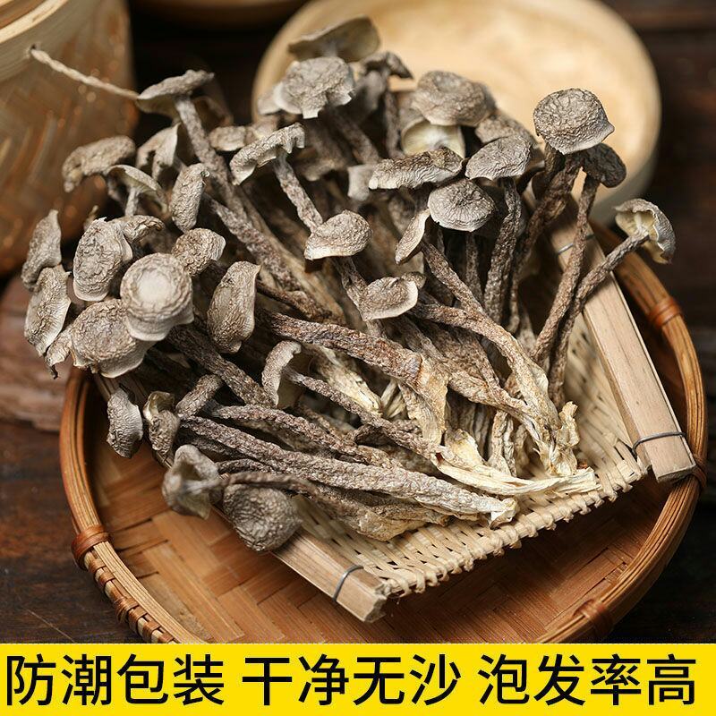福建特产古田鹿茸菇鹿茸菌干货茸菇菌新鲜食用菌菌汤