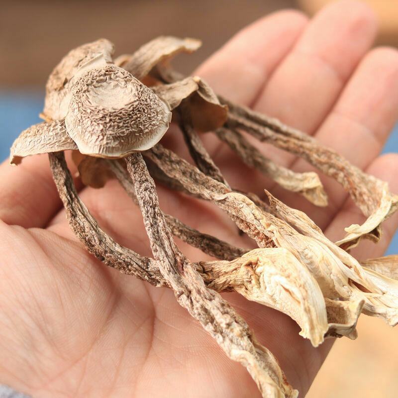 福建特产古田鹿茸菇鹿茸菌干货茸菇菌新鲜食用菌菌汤