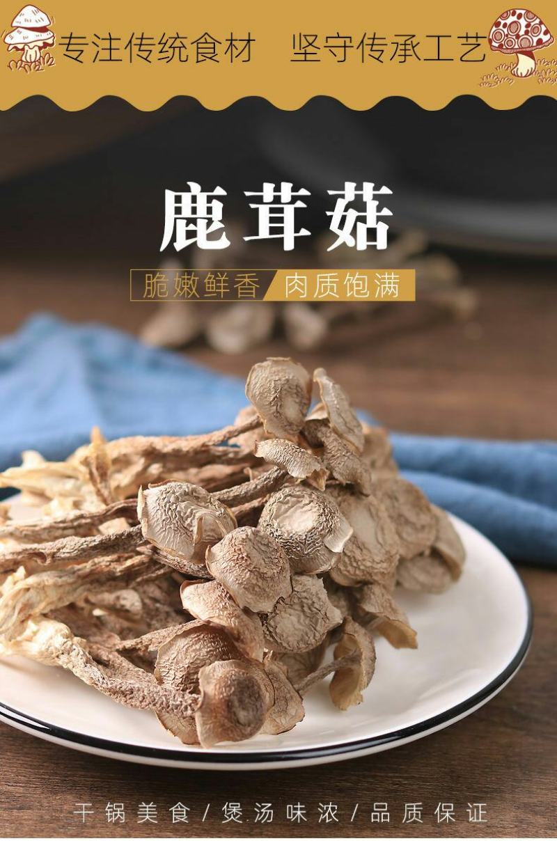福建特产古田鹿茸菇鹿茸菌干货茸菇菌新鲜食用菌菌汤