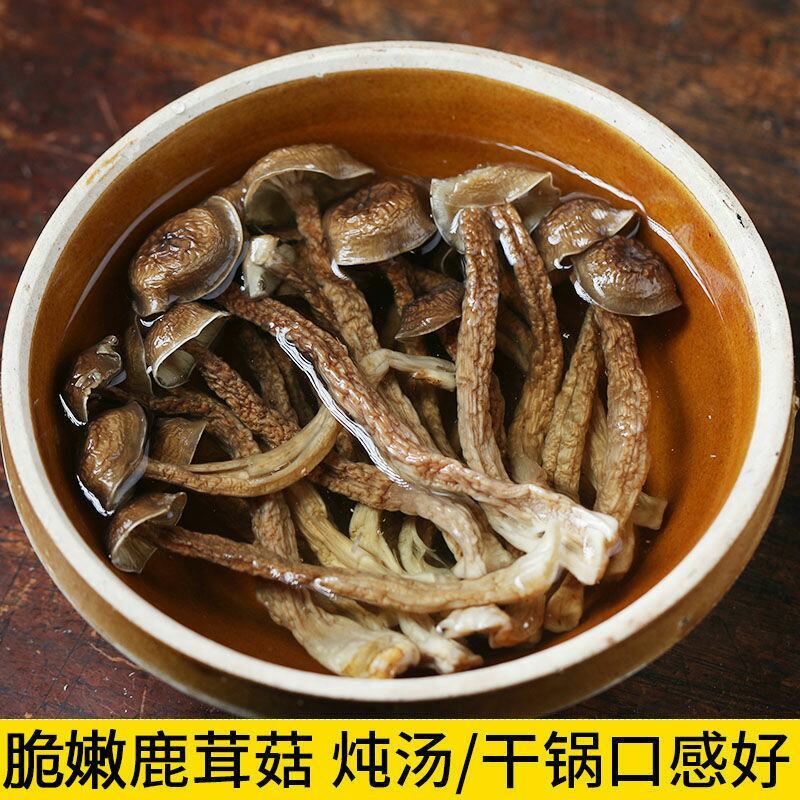 福建特产古田鹿茸菇鹿茸菌干货茸菇菌新鲜食用菌菌汤