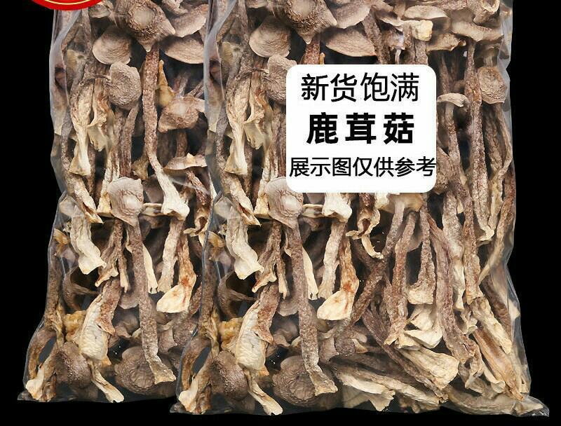 福建特产古田鹿茸菇鹿茸菌干货茸菇菌新鲜食用菌菌汤
