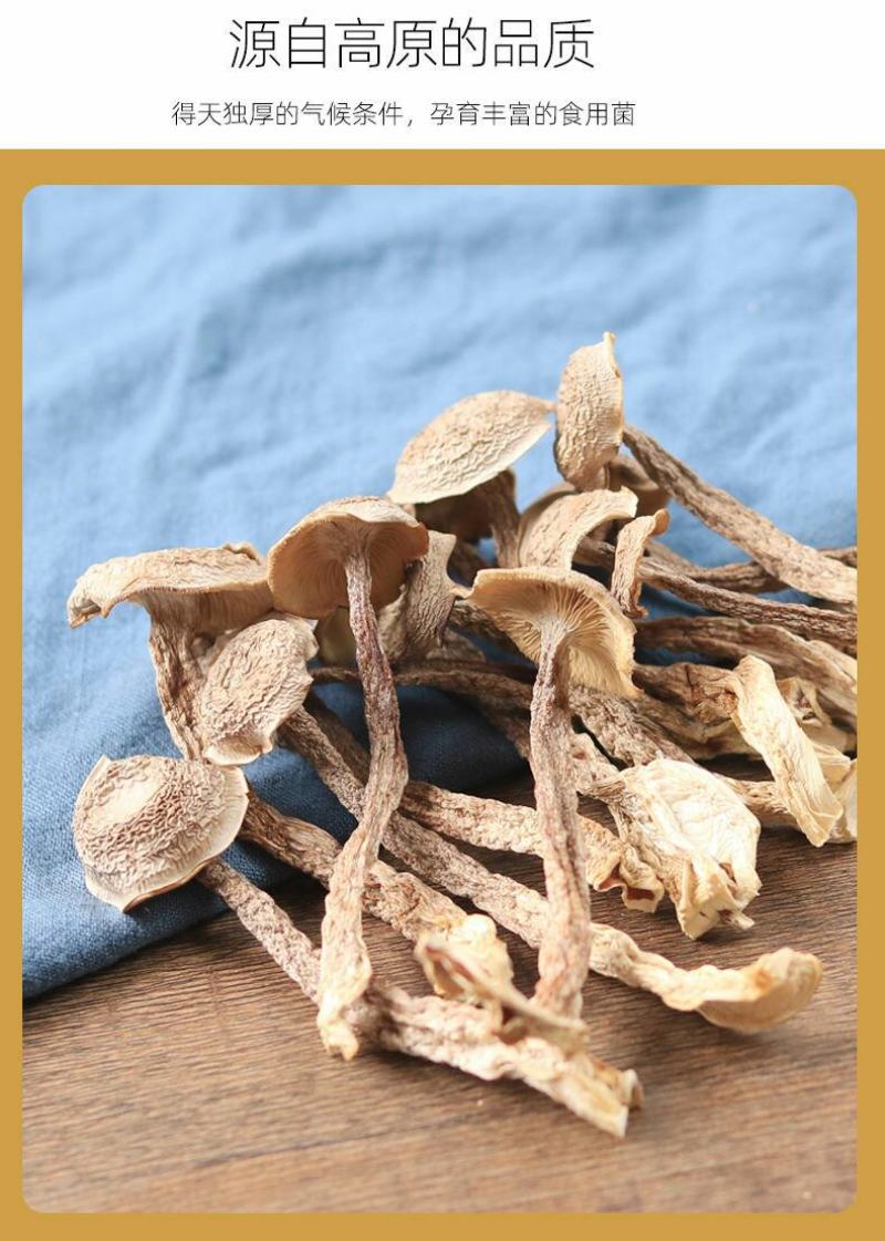 福建特产古田鹿茸菇鹿茸菌干货茸菇菌新鲜食用菌菌汤
