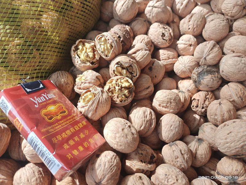 青皮核桃辽系香菱清香优质核桃