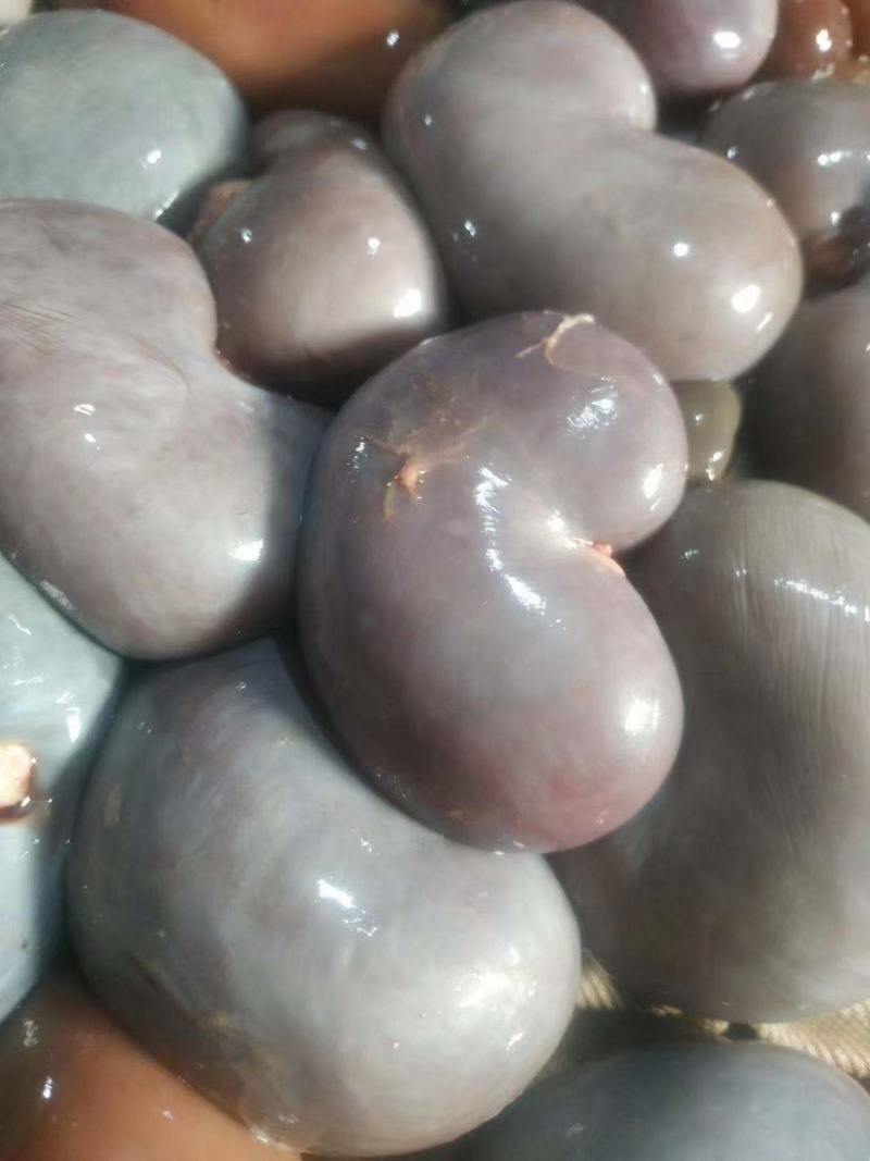 羊净腰包腰子优选去油羊腰子产地直发一手货源欢迎来电