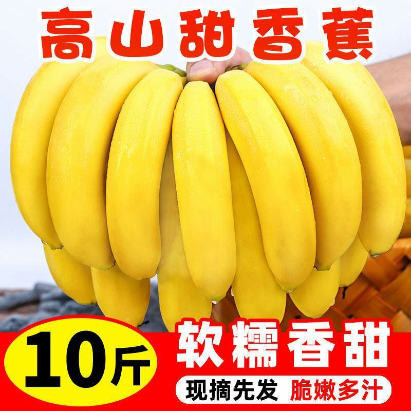 云南高山香甜大香蕉新鲜当季水果应季甜糯香蕉芭蕉自然熟非苹